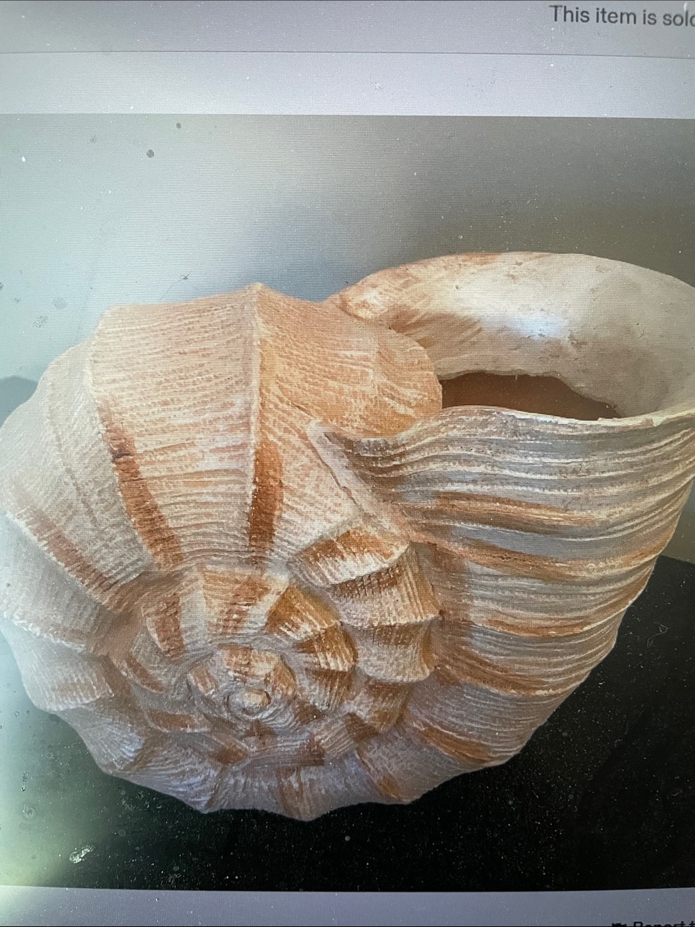 VTG Beautiful Burton+Burton Seashell Planter/Vase